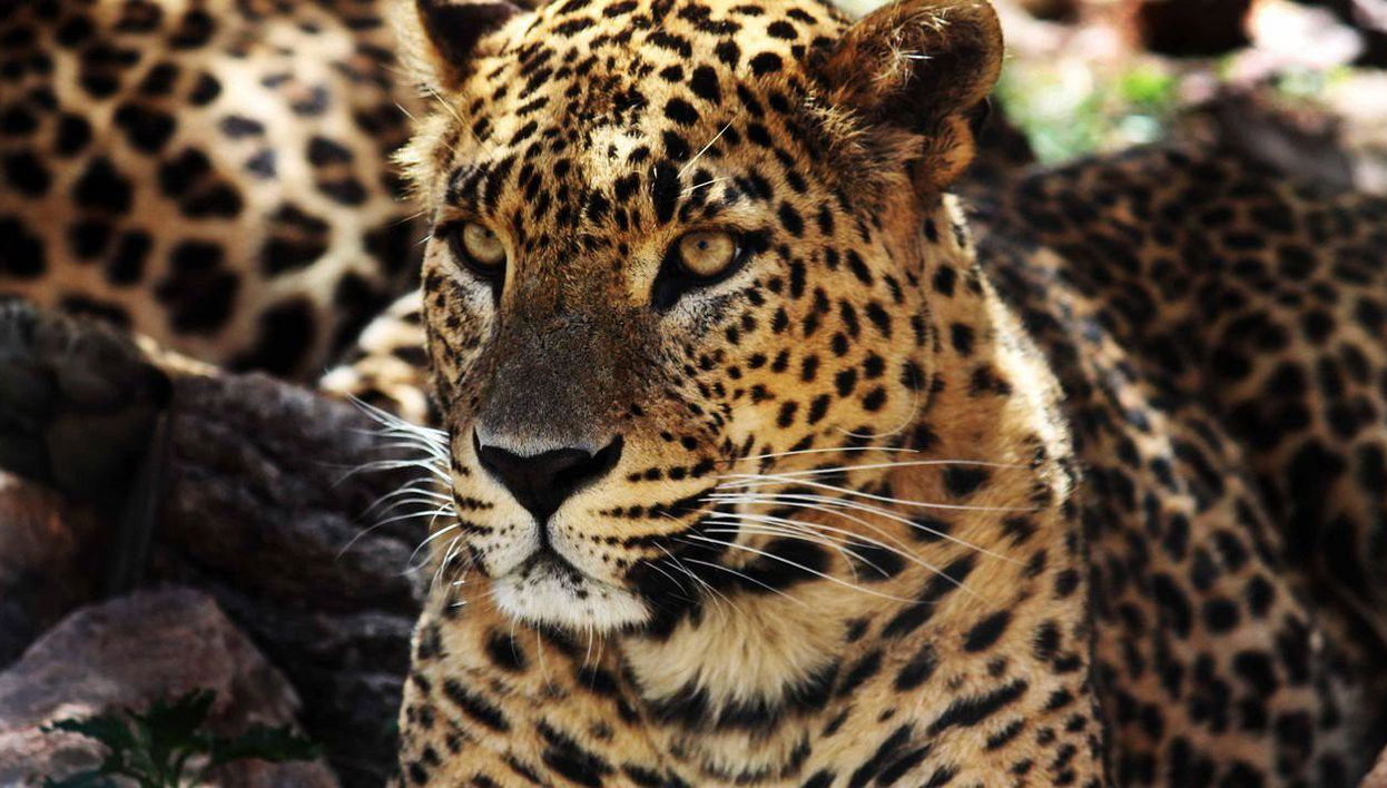 Entrée Terra Natura Murcia - Photo 1